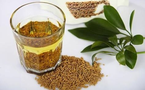 夏日消暑解渴来杯苦荞茶
